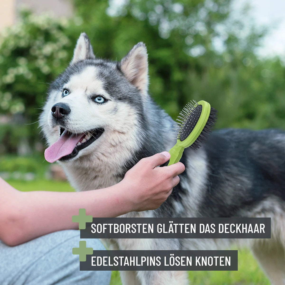 ReaVet-Hundebürste-2in1-Hund
