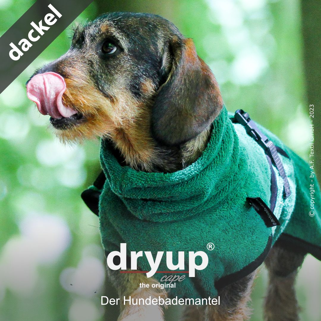 Hundebademantel-Dryup-Cape-Dackel-Grün-Hund