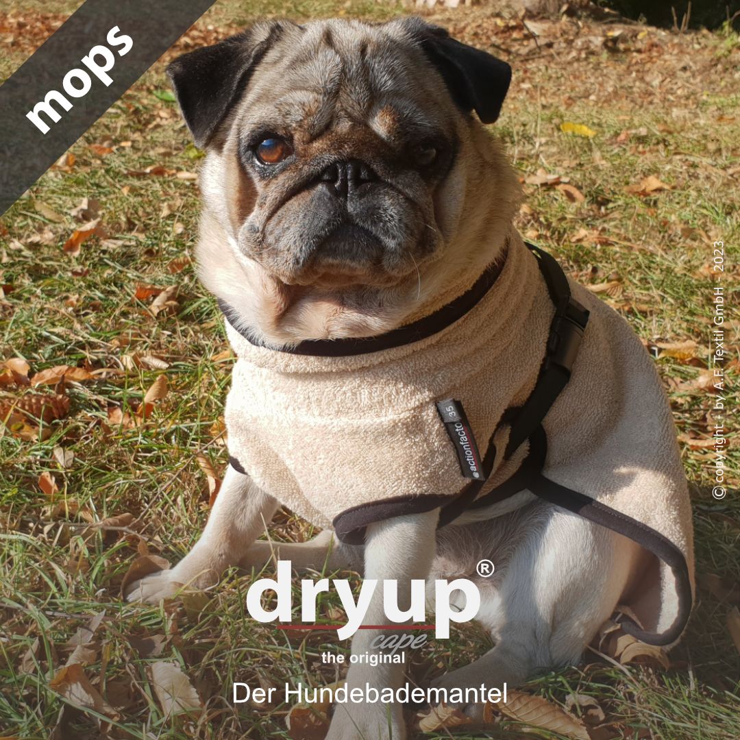 Hundebademantel-Dryup-Cape-Mops-Sand-Hund2