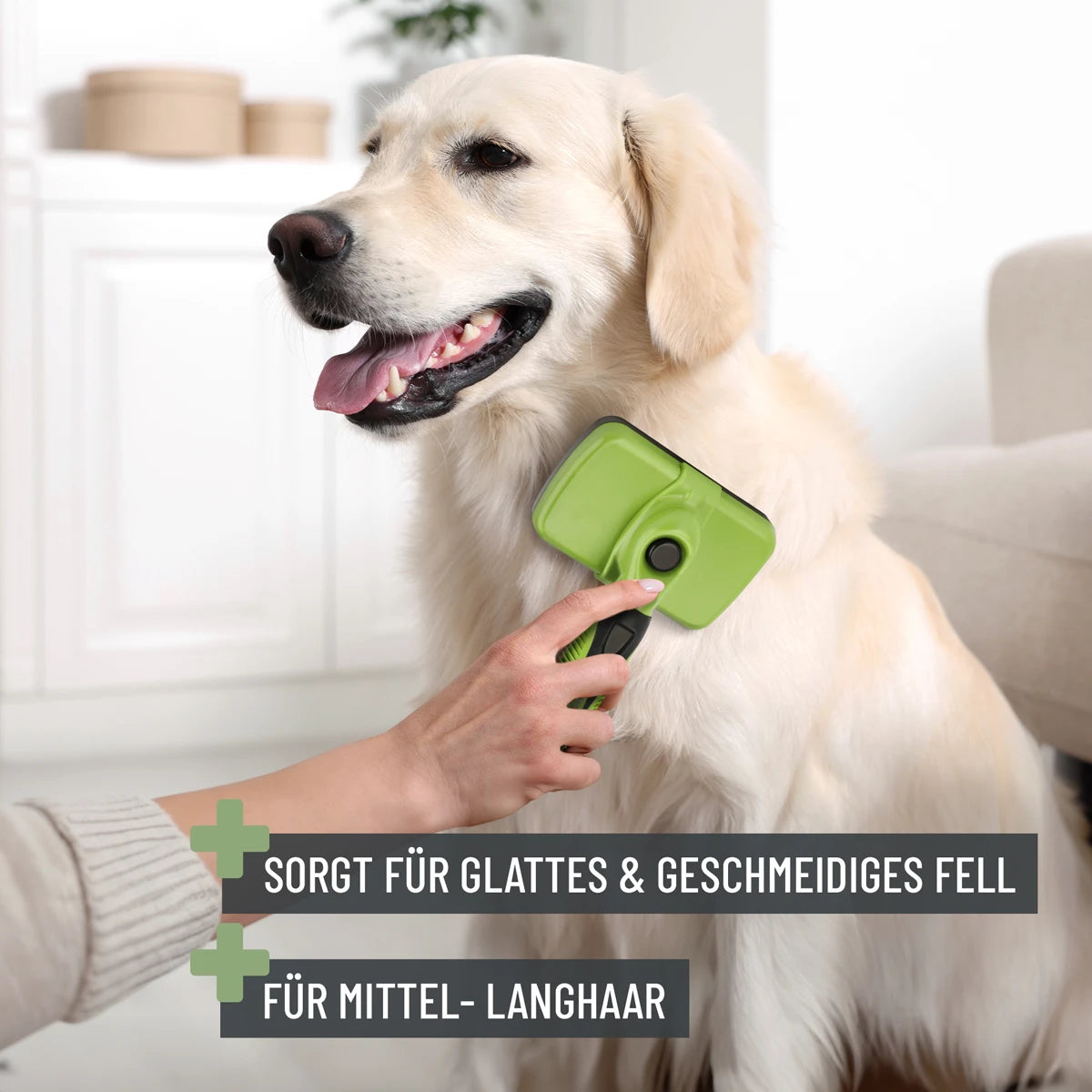 Fellpflegebürste