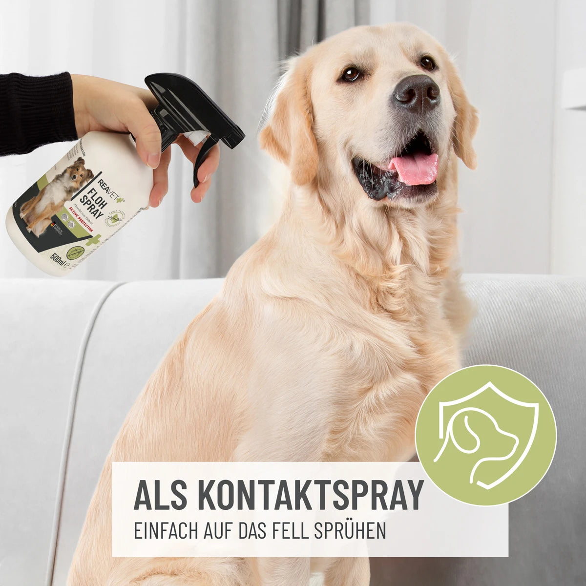 ReaVet-Flohspray-Anwendung