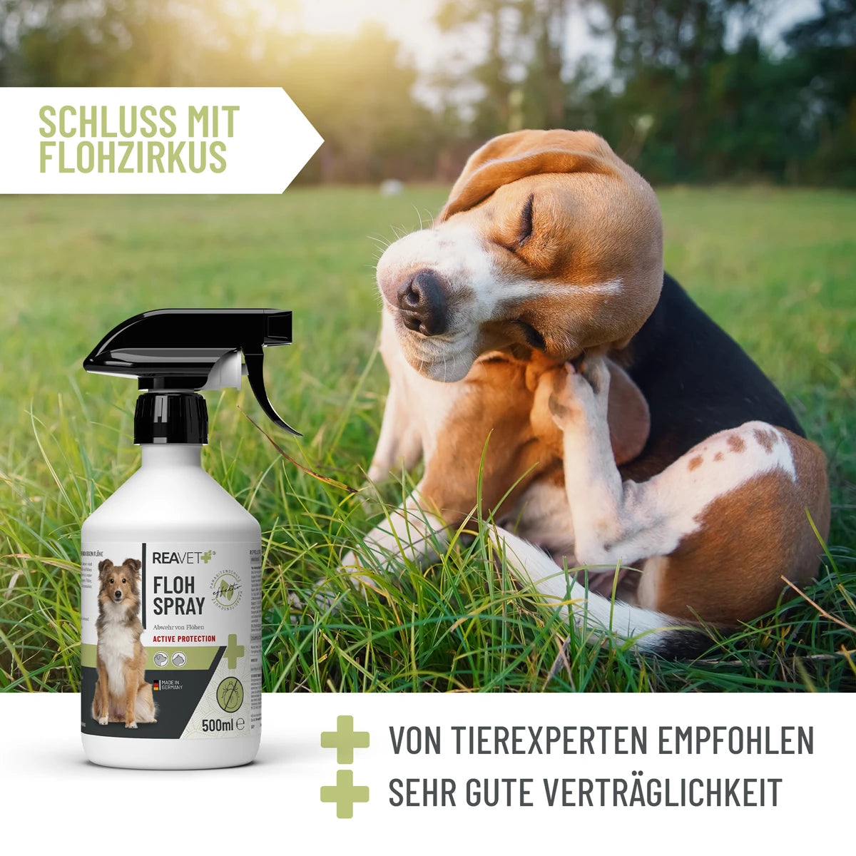 ReaVet-Flohspray-Wirkung