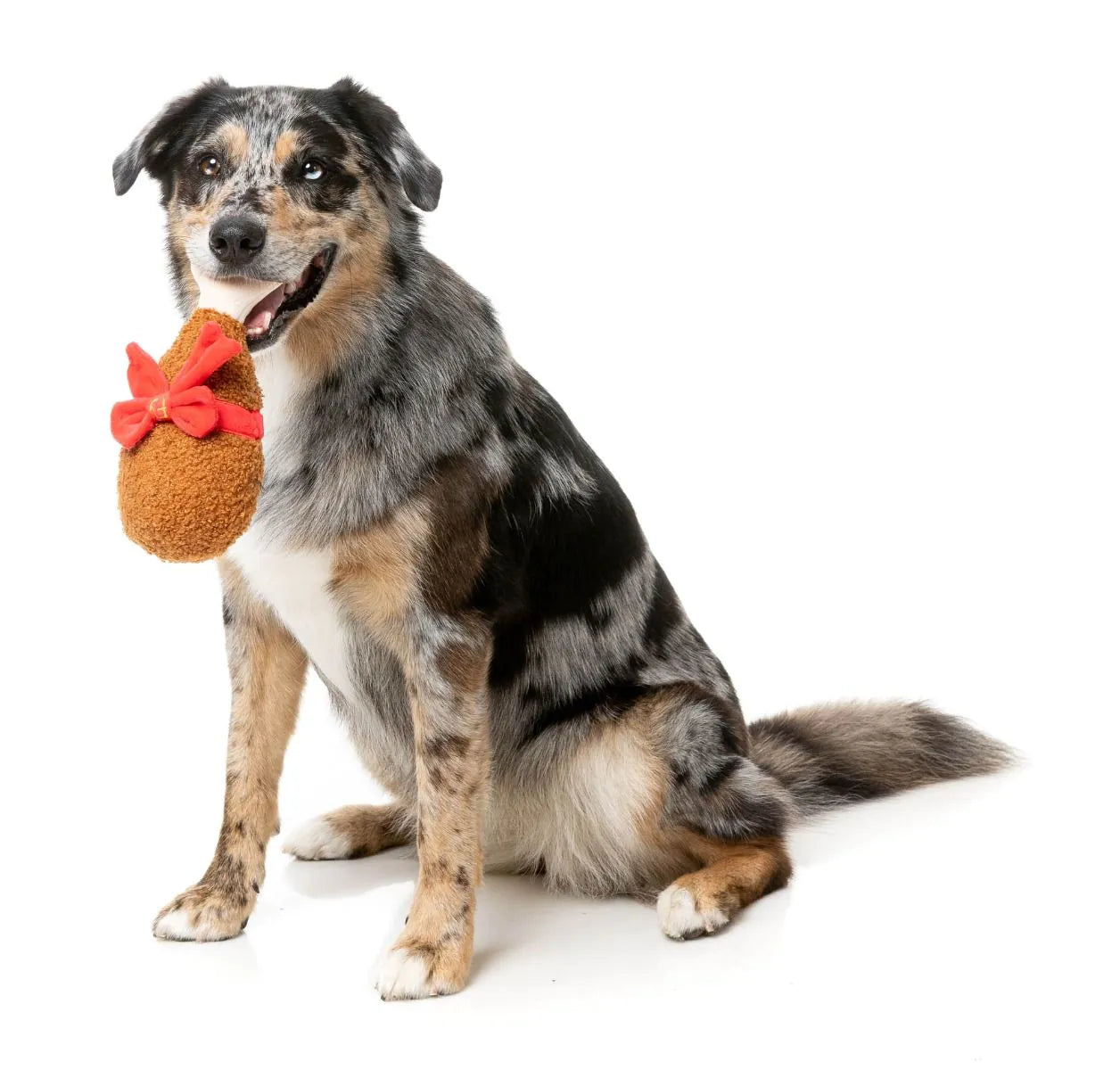 Hundespielzeug Good Tidings Truthahnkeule