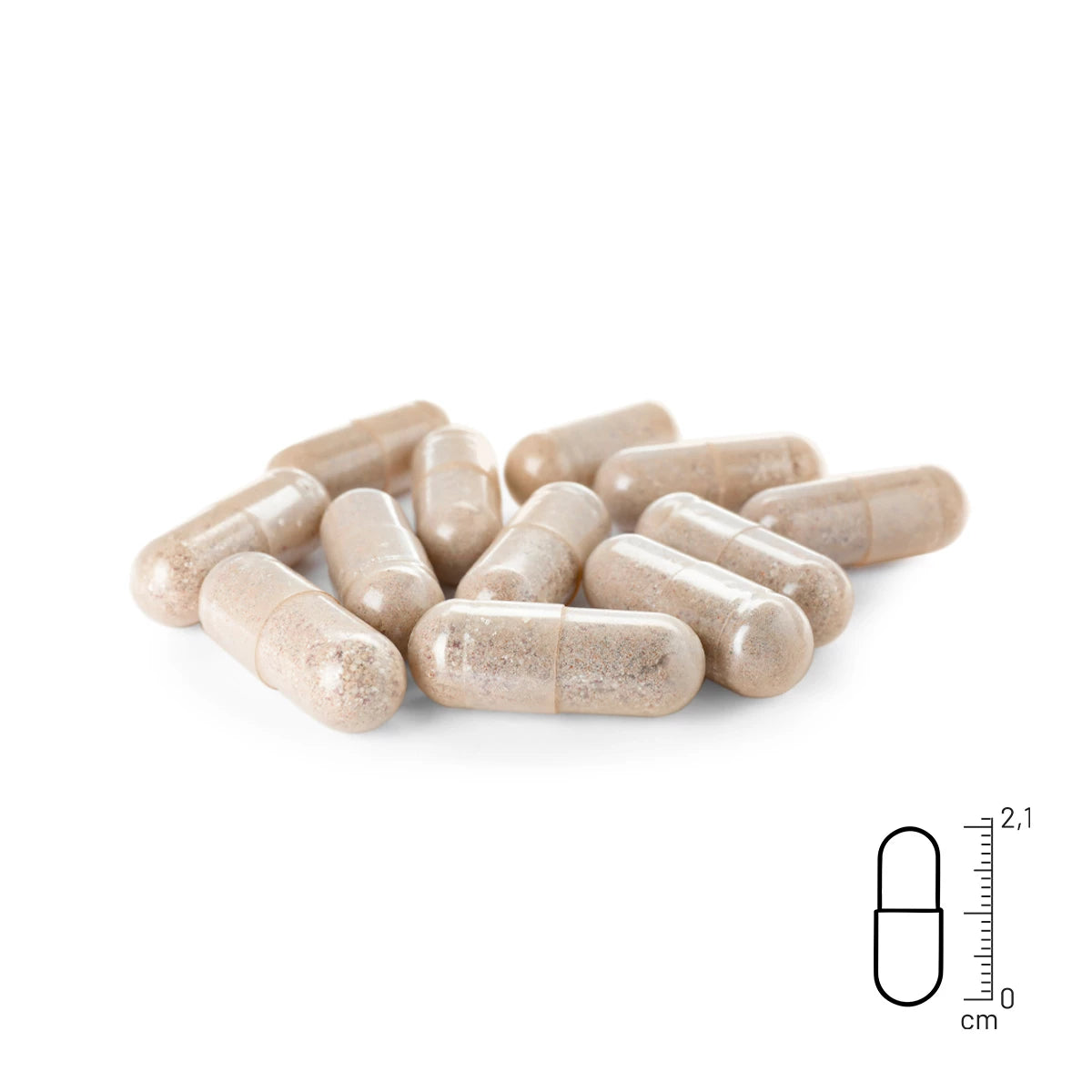 ReaVet-Grünlippmuschel-Kapseln