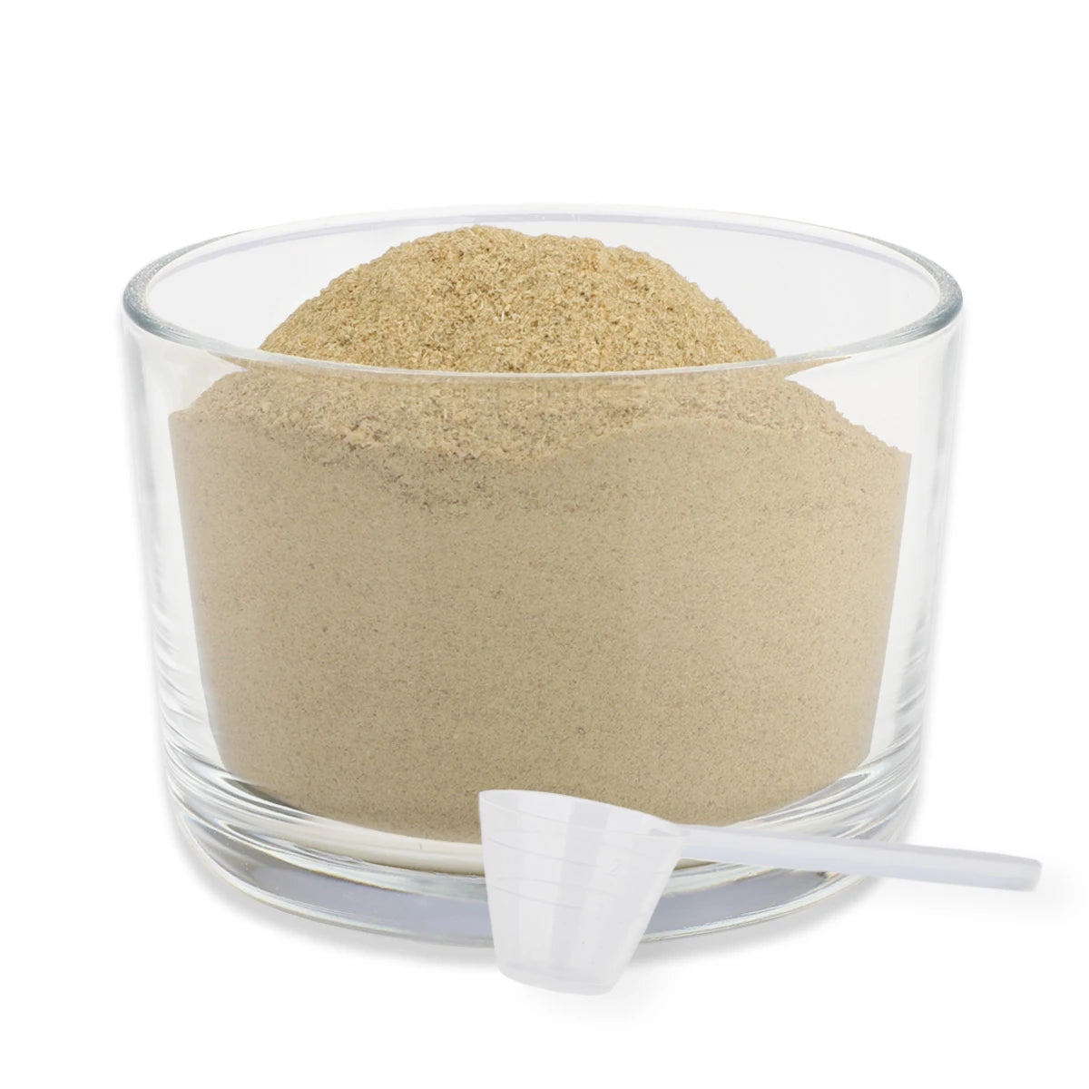 ReaVet-Grünlippmuschel-Konzentrat-Pulver