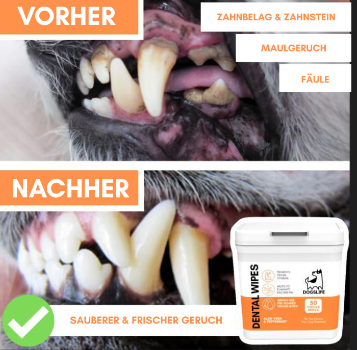 DogsLife-Dental-Wipes-Zahnputz-Fingerpads-Wirkung