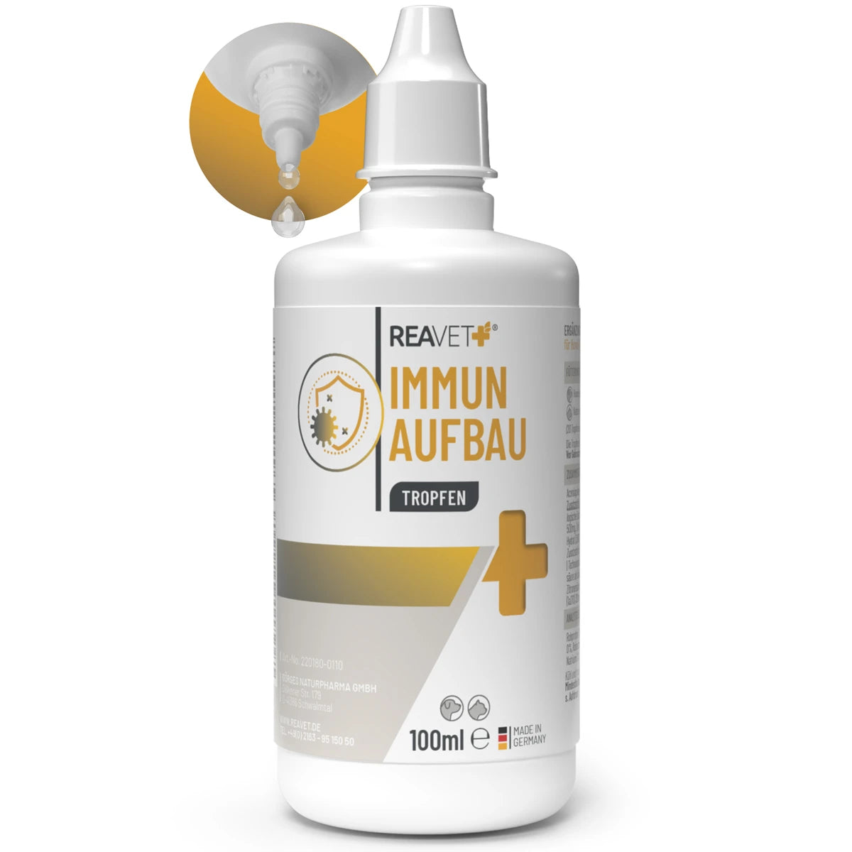 Immun Aufbau Tropfen