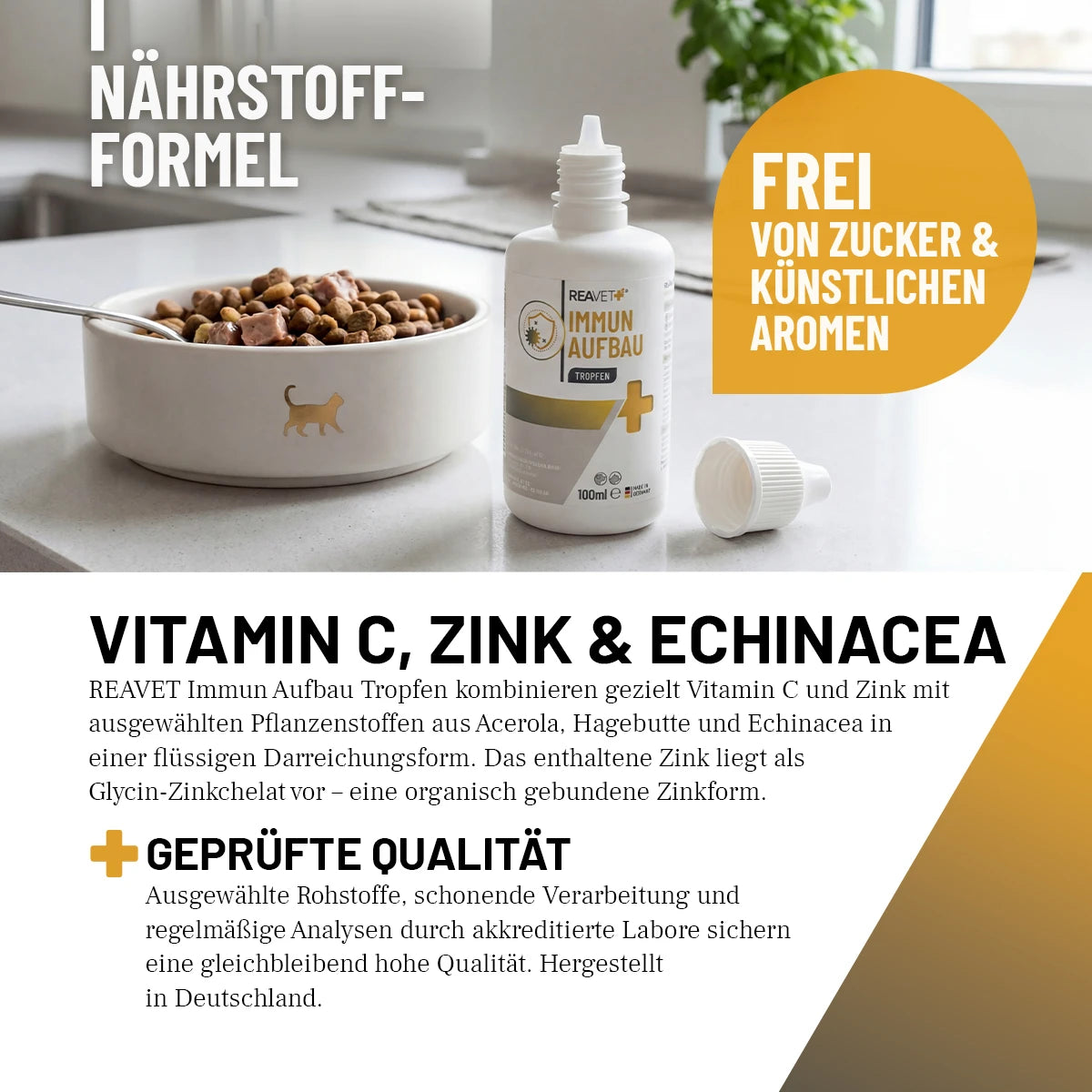Immun Aufbau Tropfen
