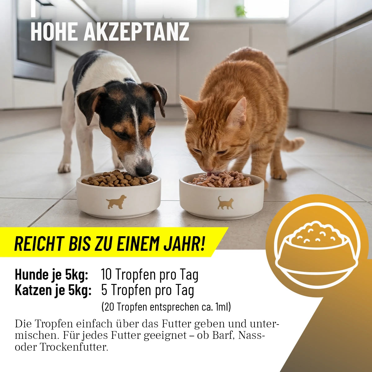 Immun Aufbau Tropfen