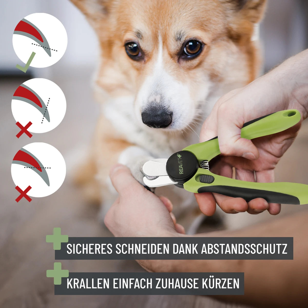 ReaVET-Krallenschere-S-XL-Anwendung