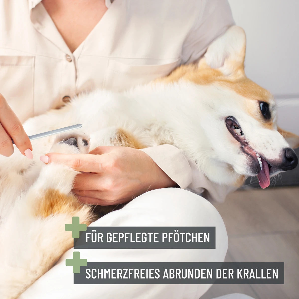 ReaVET-Krallenschere-S-XL-Mood