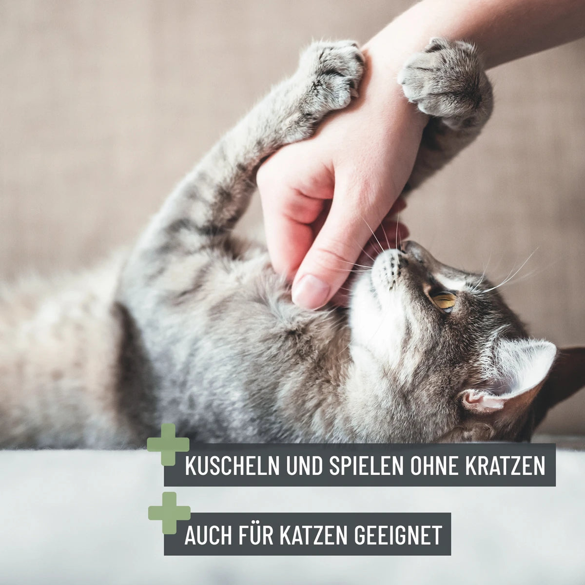 ReaVET-Krallenschere-S-XL-Katze