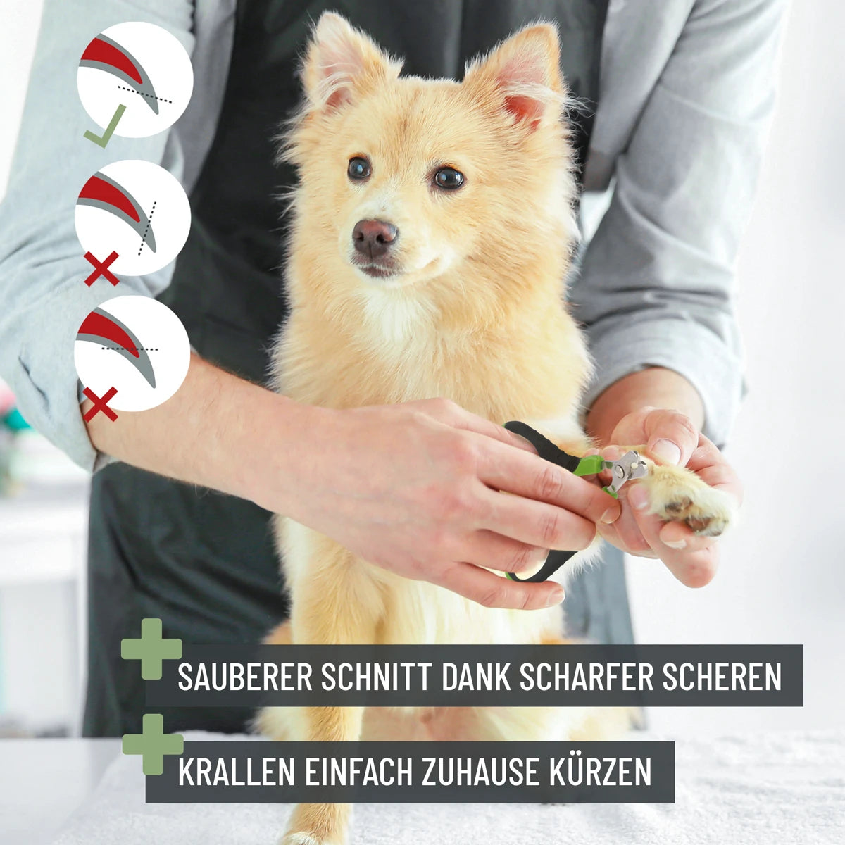 ReaVET-Krallenschere-S-Hund
