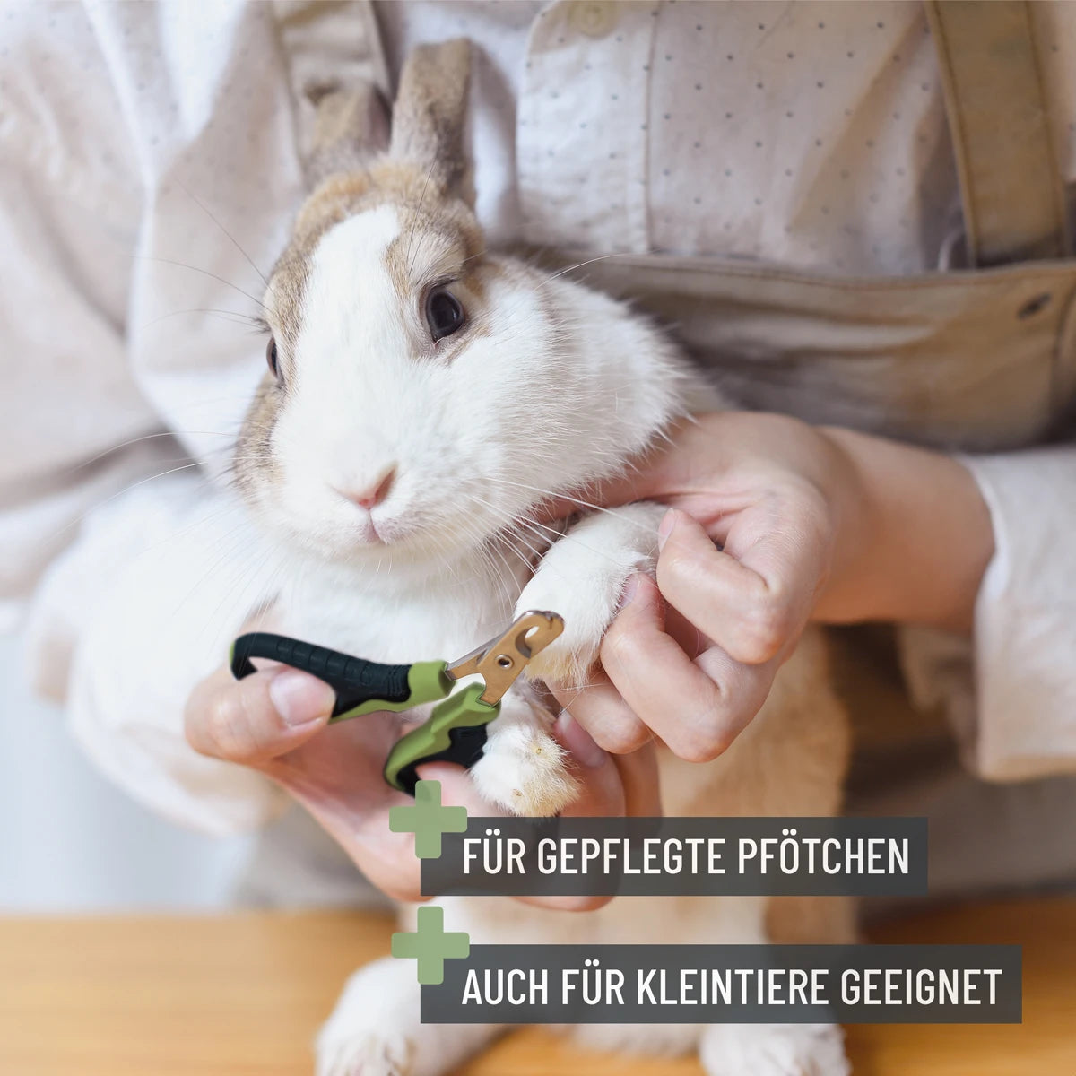 ReaVET-Krallenschere-S-Hase