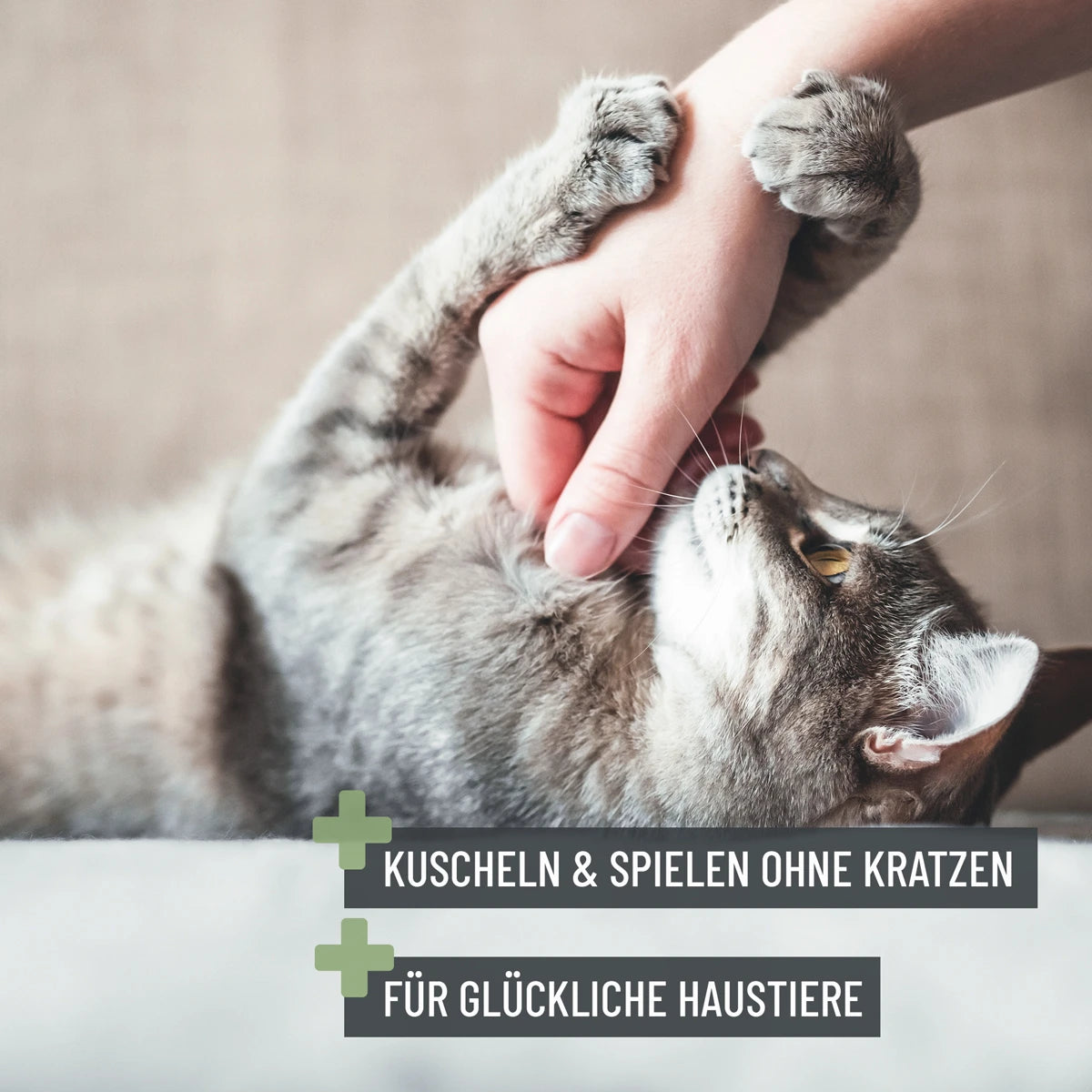 ReaVET-Krallenschere-S-Katze