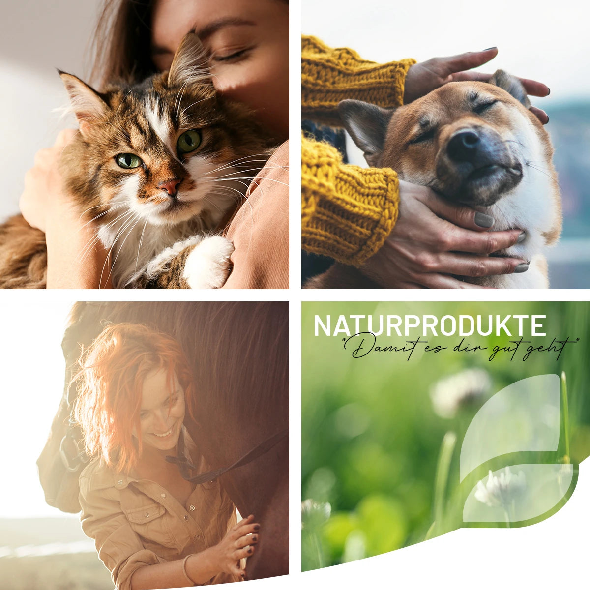 REAVET-Magen-Darm-Paste-Naturprodukte