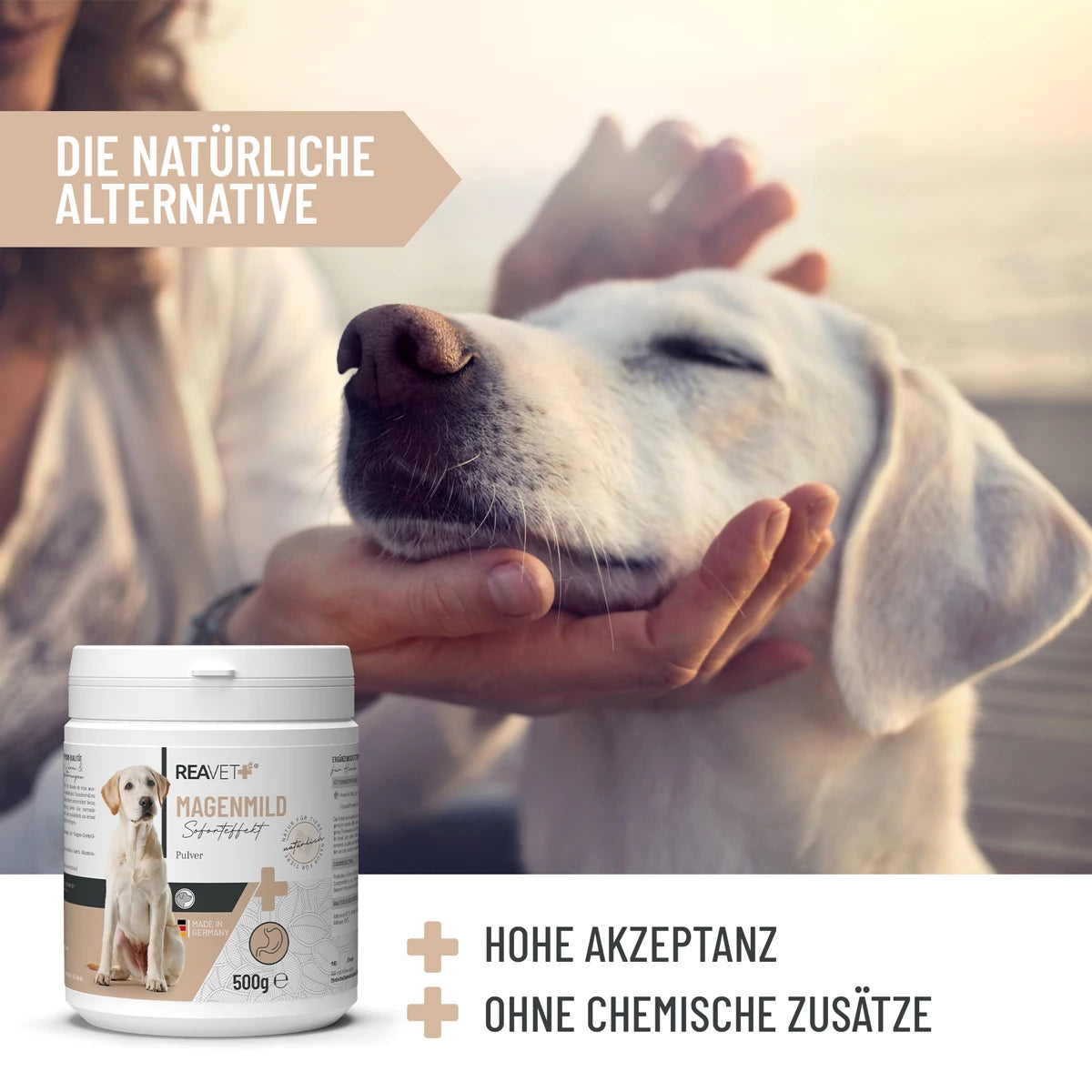 ReaVet-Magen-Mild-Pulver-Info