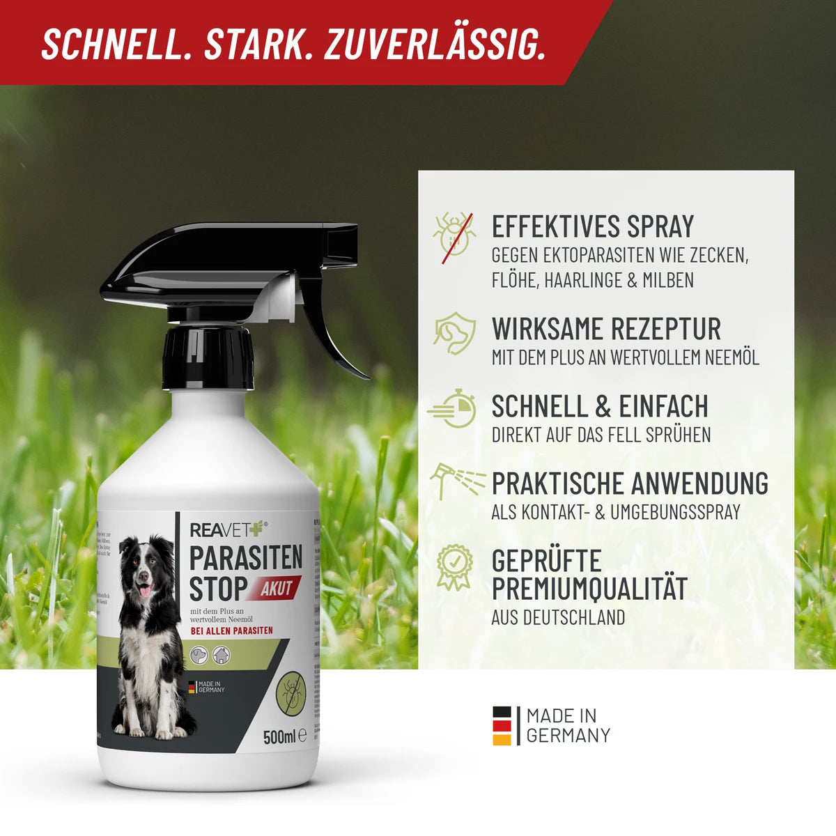REAVET-Parasiten-Stop-500ml-Wirkung