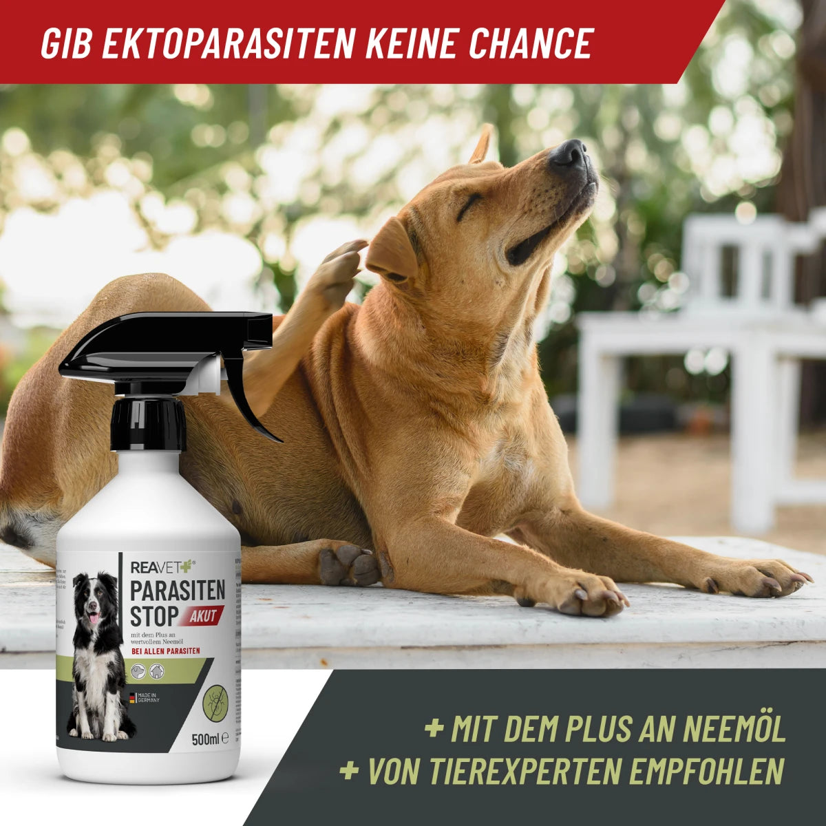 REAVET-Parasiten-Stop-500ml-Info
