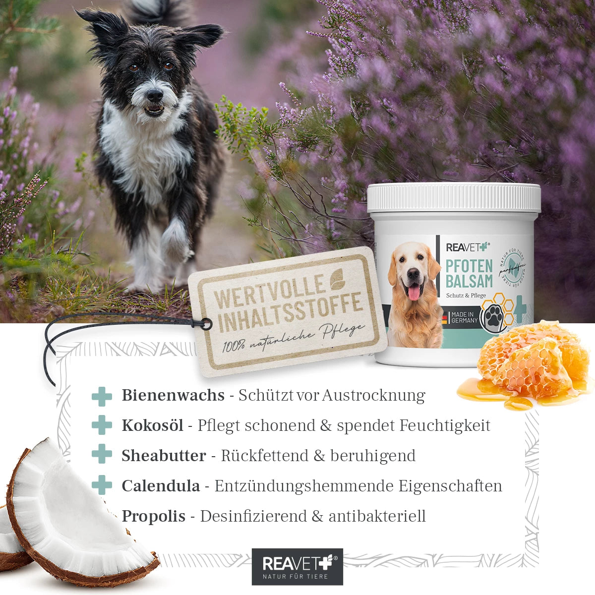 ReaVet-Pfotenbalsam-Inhaltsstoffe