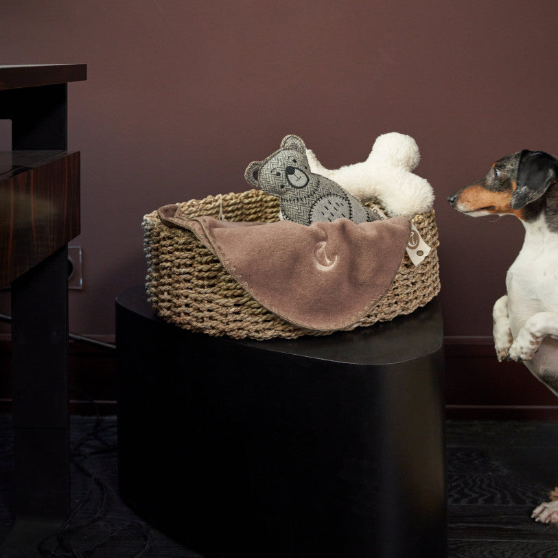 Cloud7-Aufbewahrungskorb-Seegras-Mood