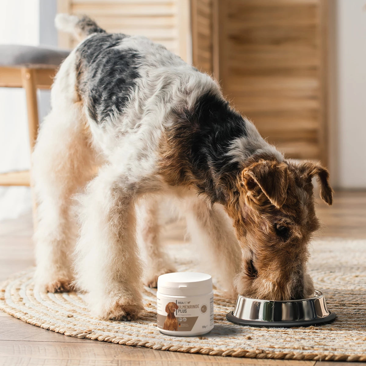 ReaVet-Ulmenrinde-Plus-Hund