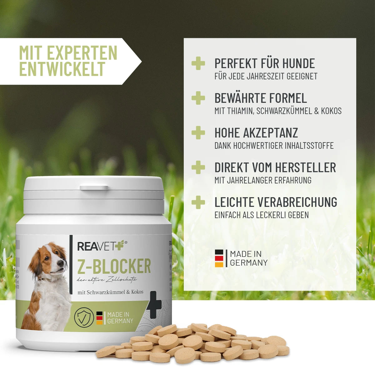 Z-Blocker Tabletten für Hunde