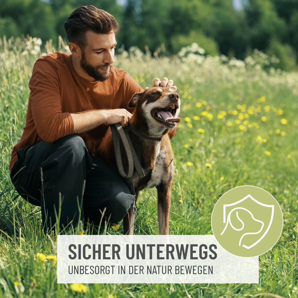 ReaVet-Zeckenspray-Repellent-Mood
