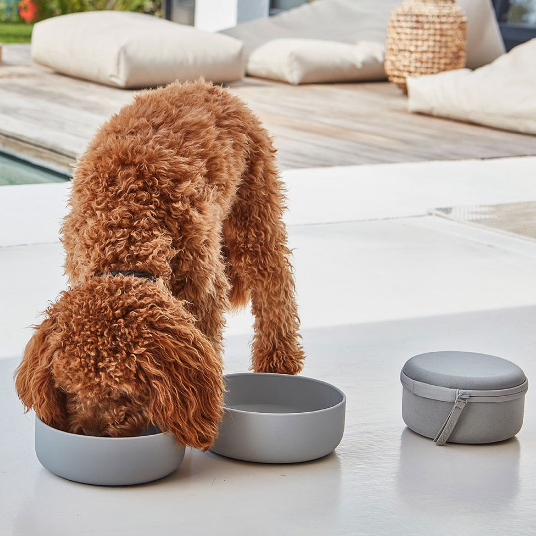 MiaCara-Bento-Reisenapf-Futterbehälter-Set-Hund