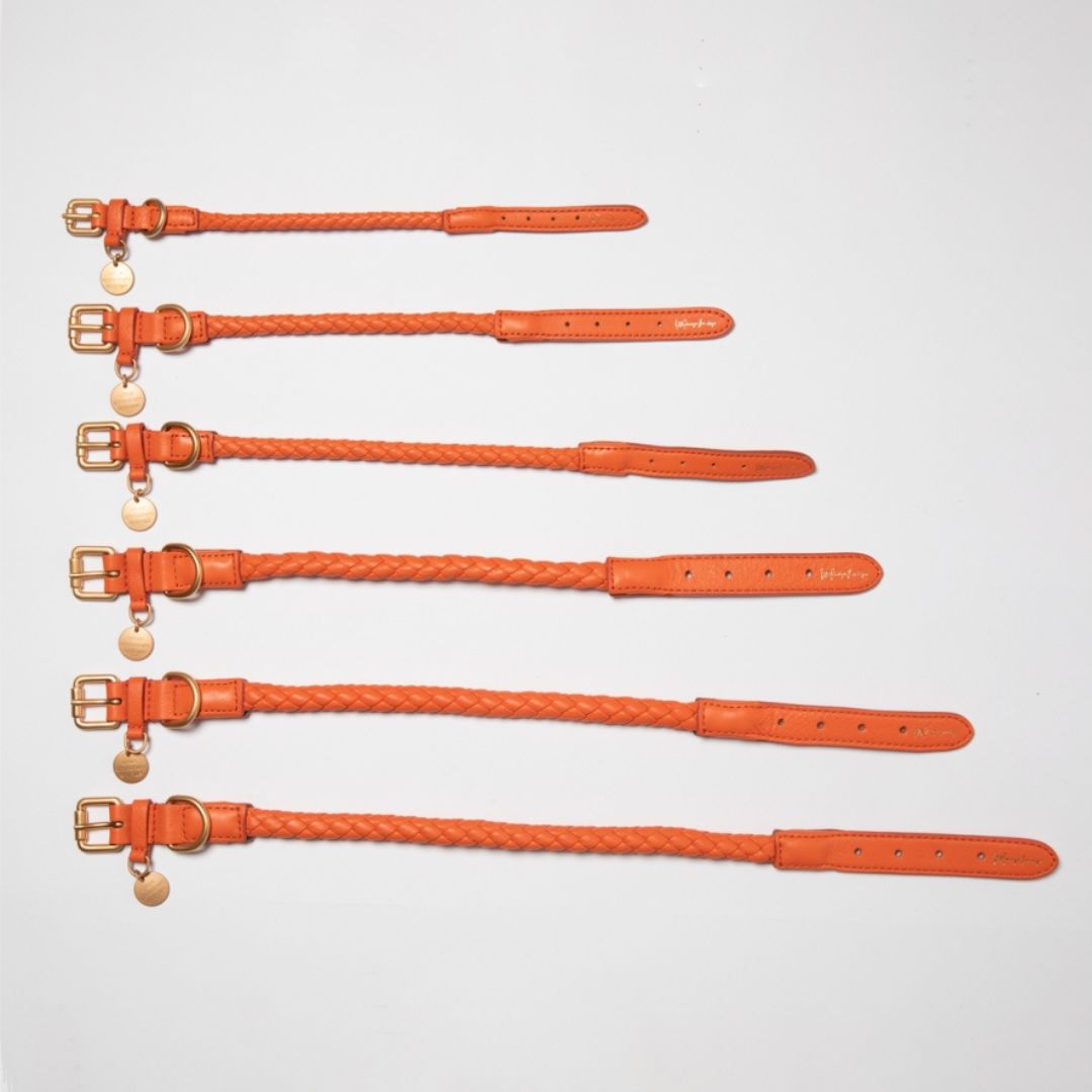 2.8-duepuntootto-hundehalsband-ferdinando-leather-collar-tangerine-orange-Größen