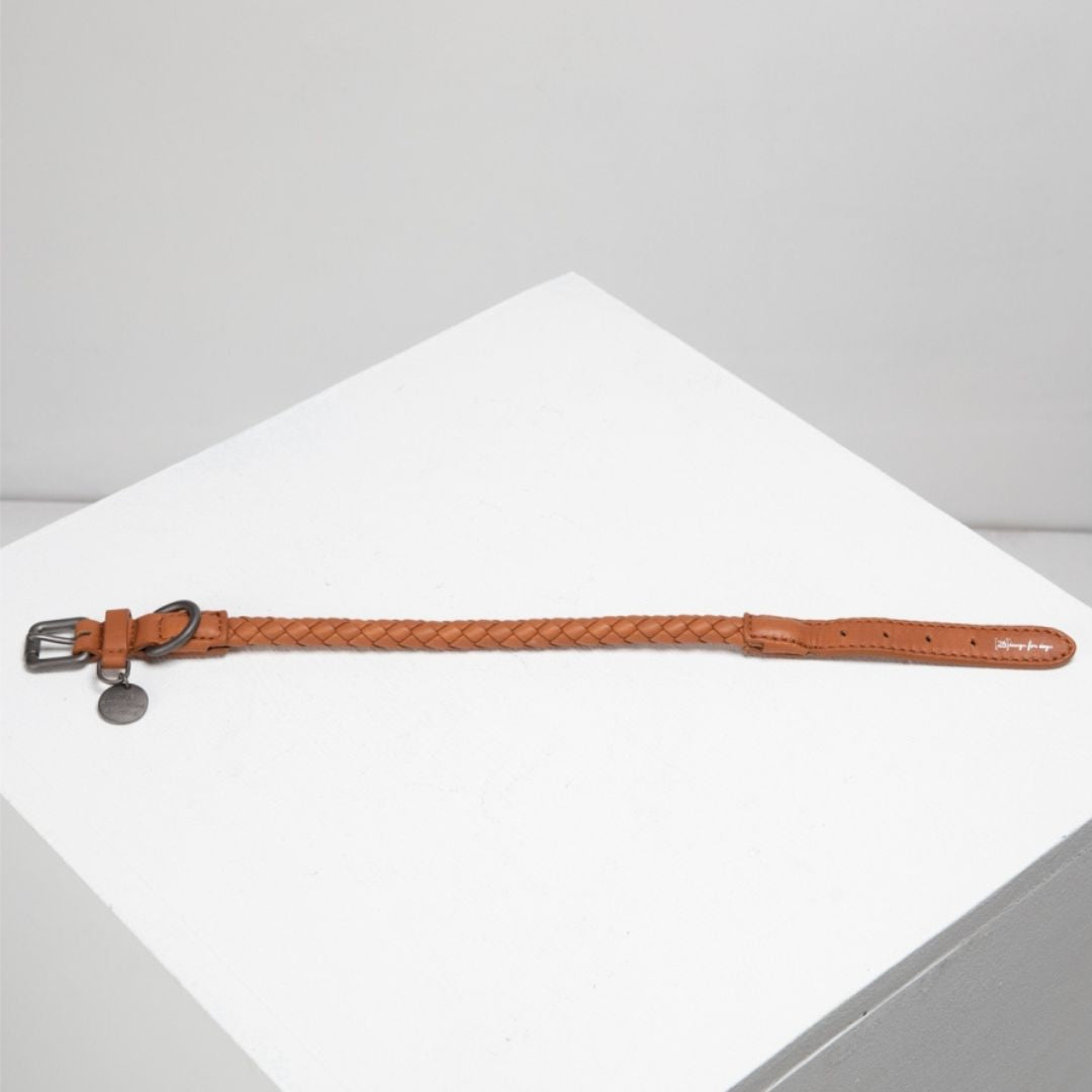 2.8-design-for-dogs-duepuntootto-Hundehalsband-Ferdinando-Dromedary-Länge