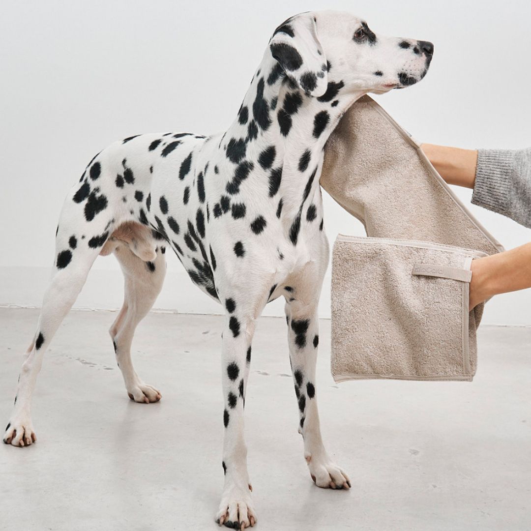 MiaCara-Mano-Hundetrockentuch-Hundehandtuch-Eingriffe-Greige-Hund