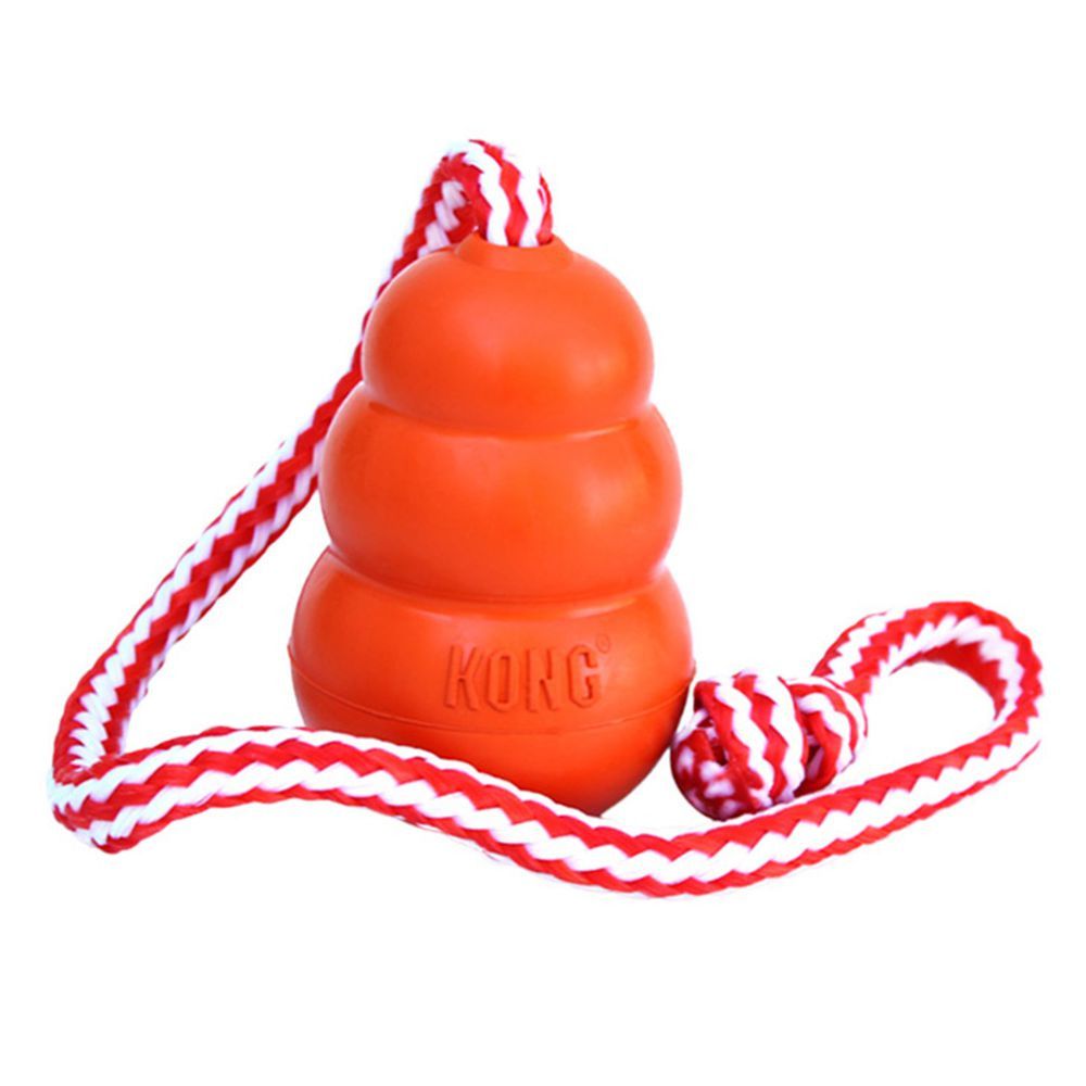 Hundespielzeug - KONG