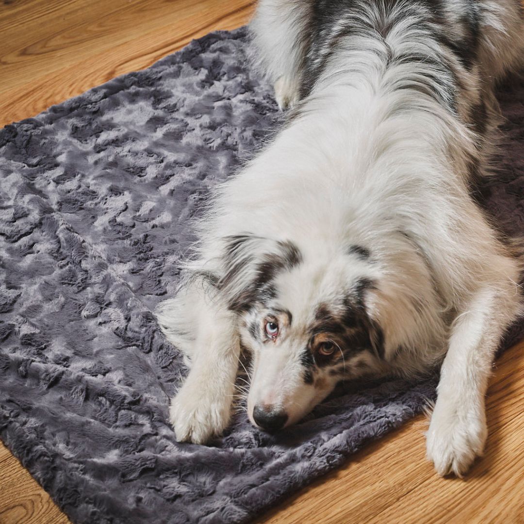 Laboni-Hundedecke-Cozy-stone-liegend