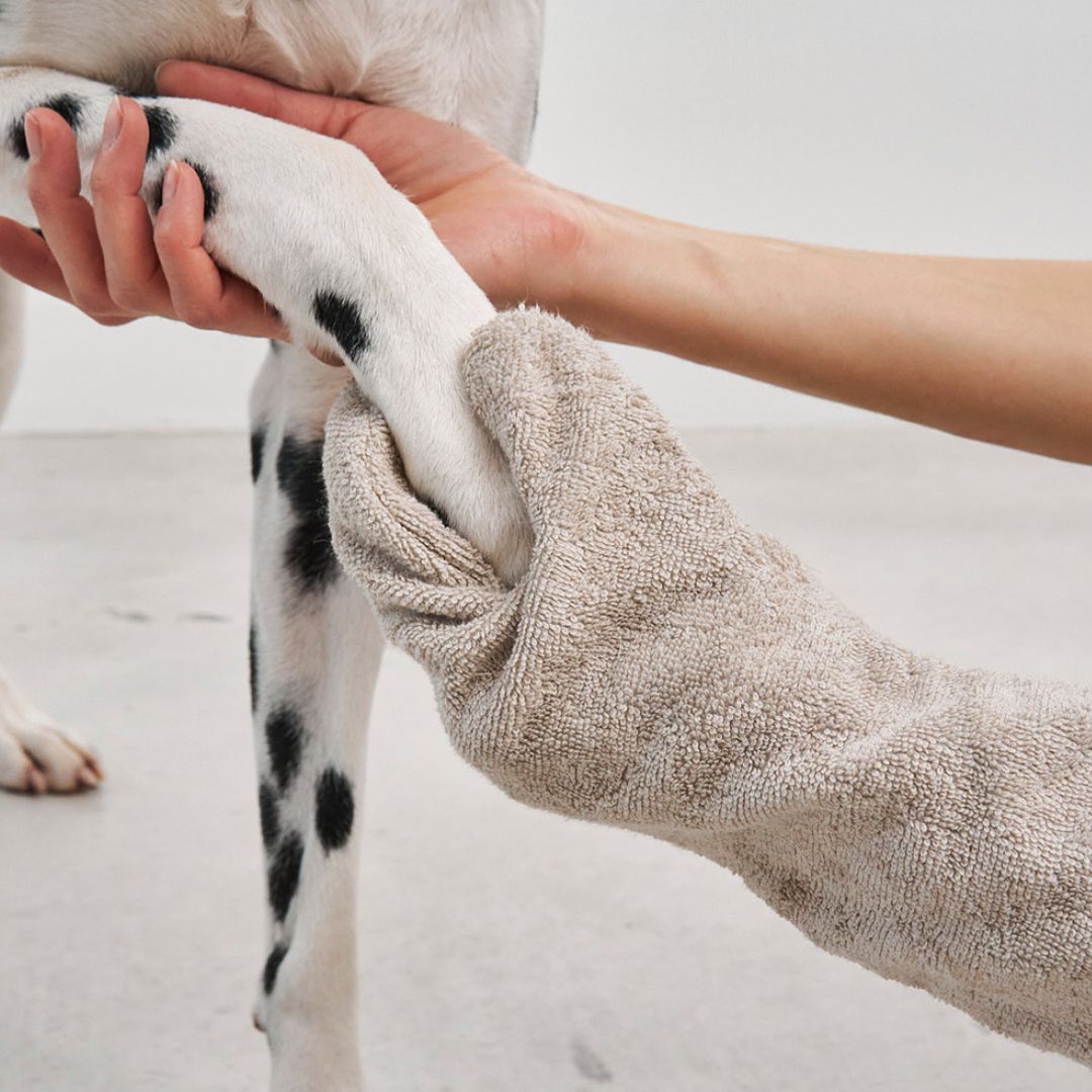 Guanto-Trockenhandschuh-Hundehandtuch-MiaCara-Reinigung