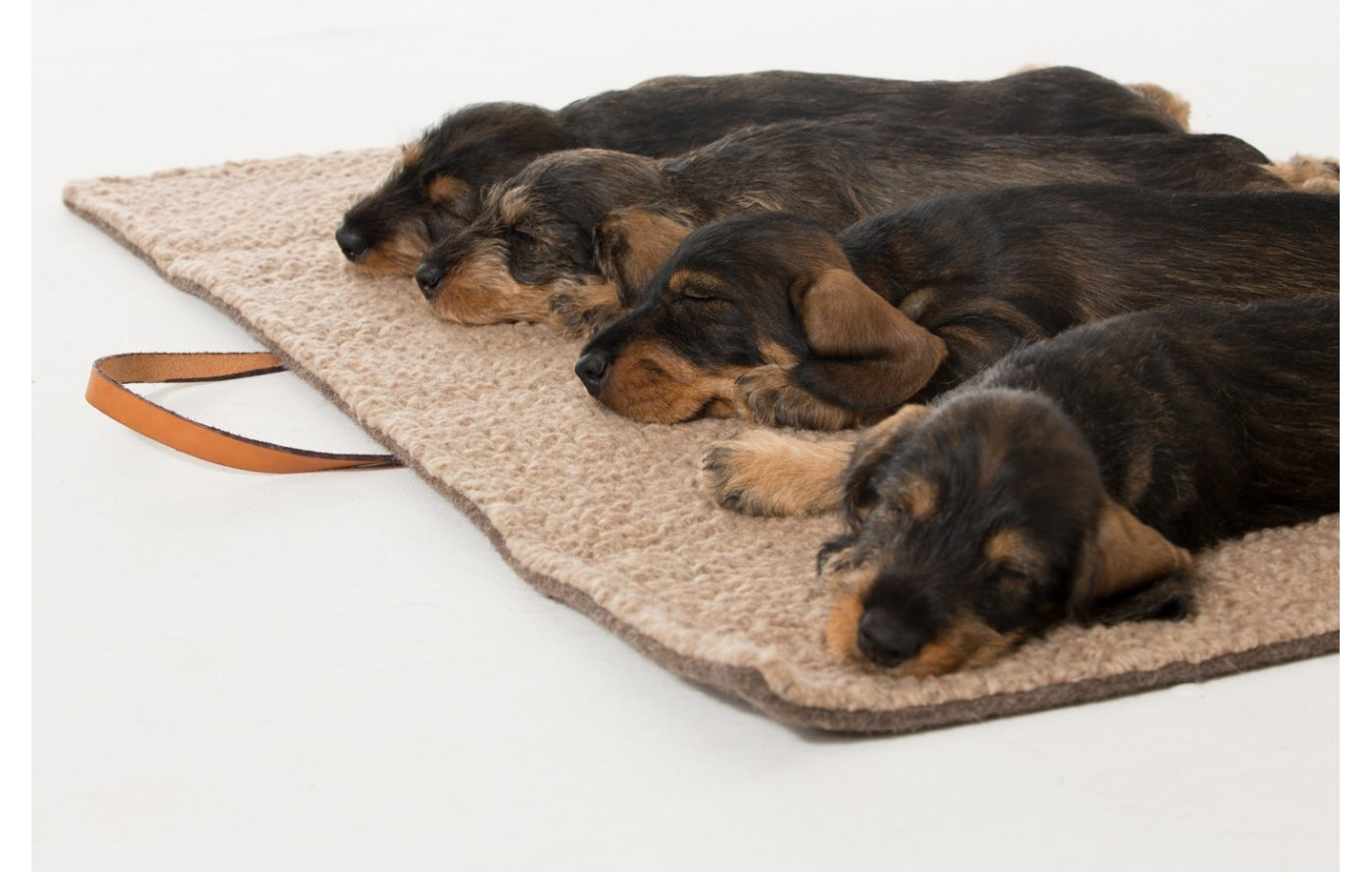 2.8-duepuntootto-Hundereisedecke-Hundereisebett-Steve-Wolle-Weiss-steve-military-wool-travel-mats