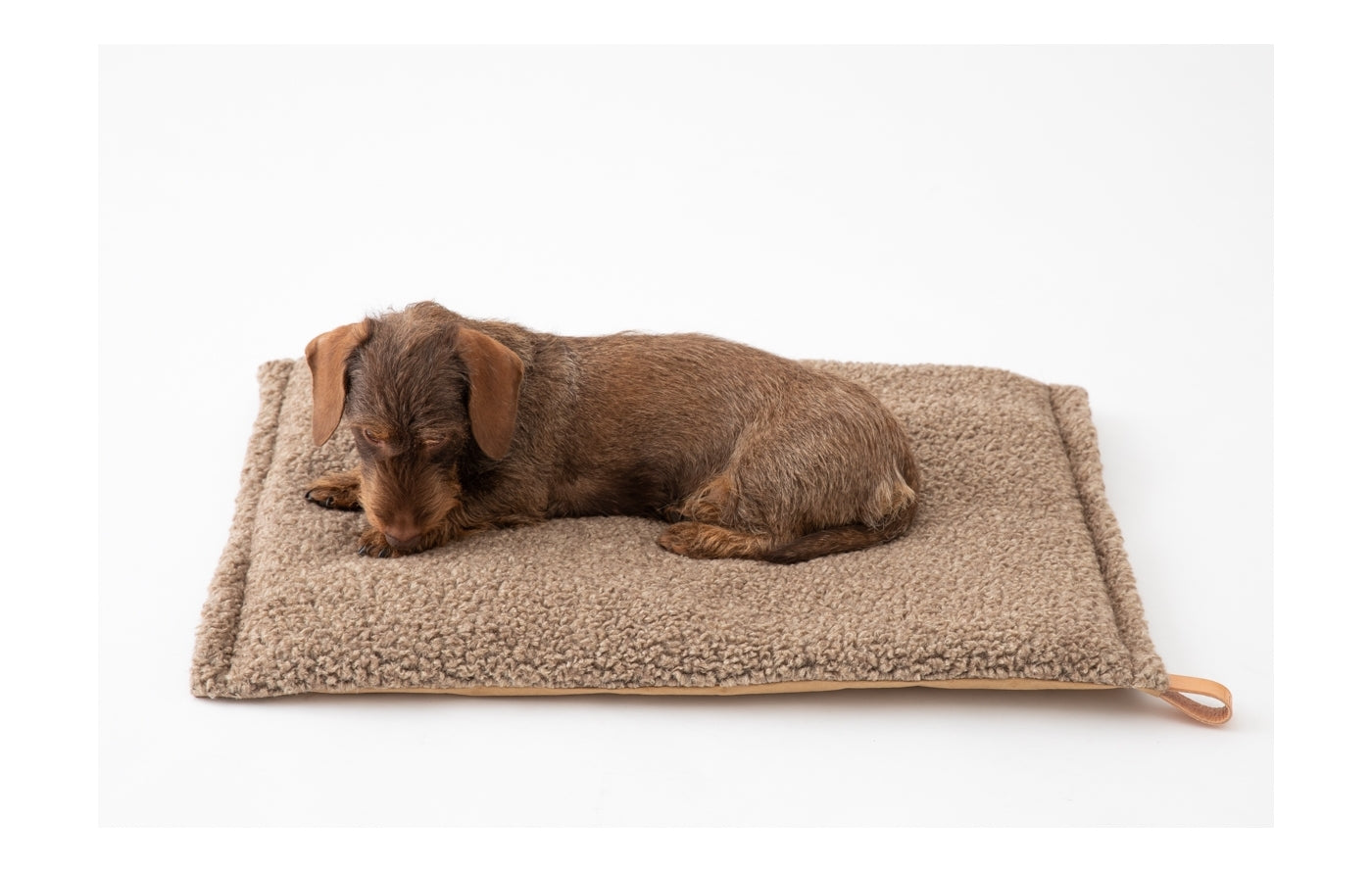 2.8-duepuntootto-designfordogs-design-for-dogs-Hundekissen-Hundereisebett-Richard-Bouclé-Wolle-Ecru-Havana-Hund2.8-duepuntooto-Hundekissen-Richard-Bouclé-Wolle-Dackel