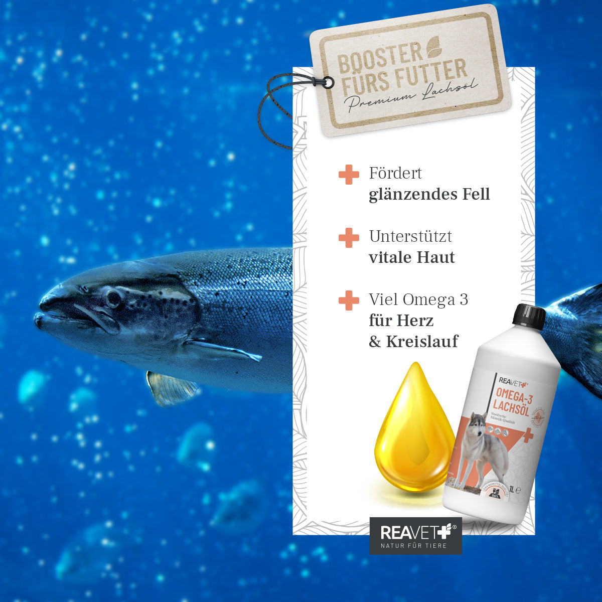 ReaVet-Omega-3-Lachsöl-Funktion