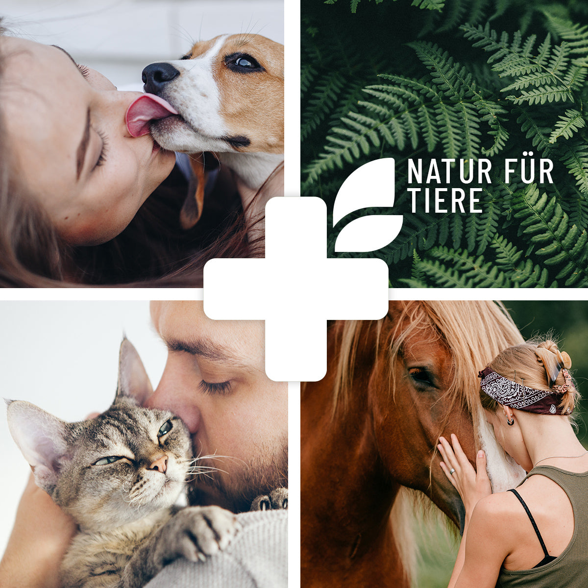 MultiGreen Tabletten