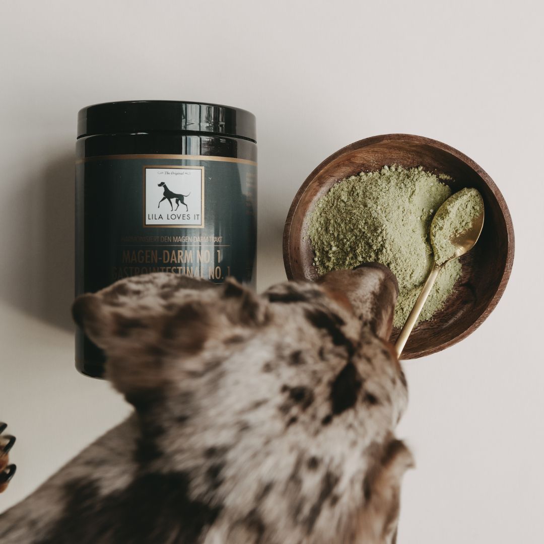 LILA-LOVES-IT-Magen-Darm-No.1-Hund