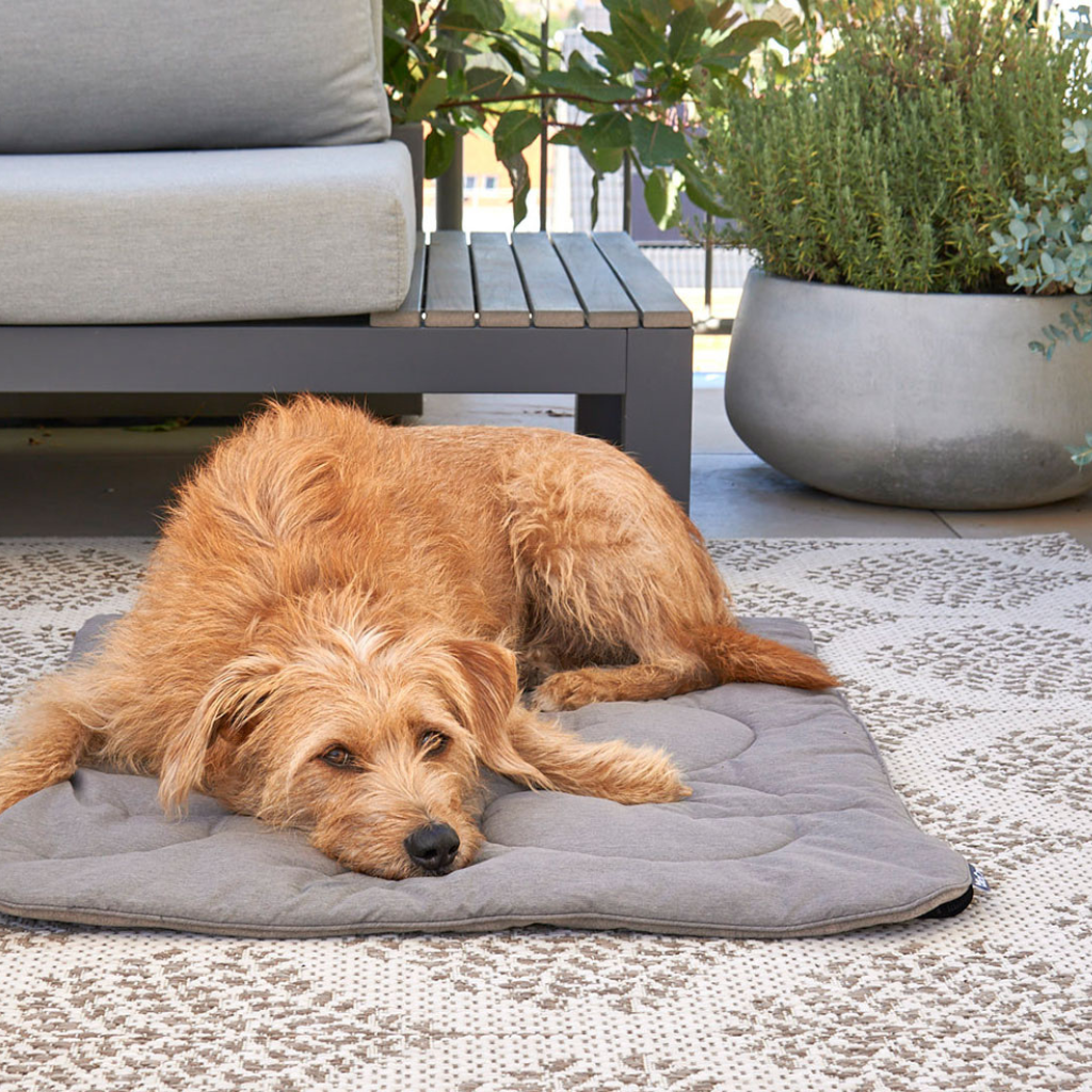MiaCara-Hundedecke-Steppdecke-Linea-Mocca-Mood