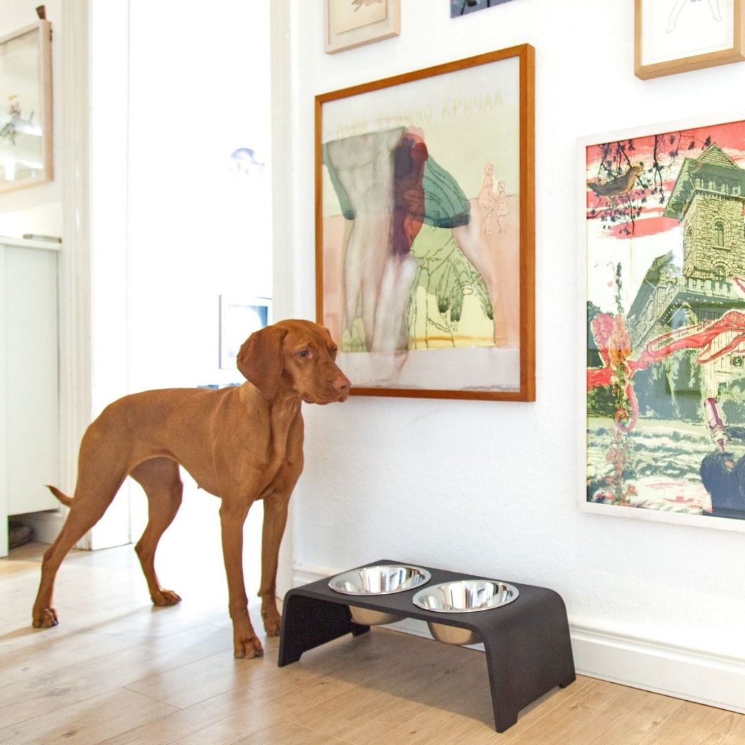 dogBar® Eiche dunkel