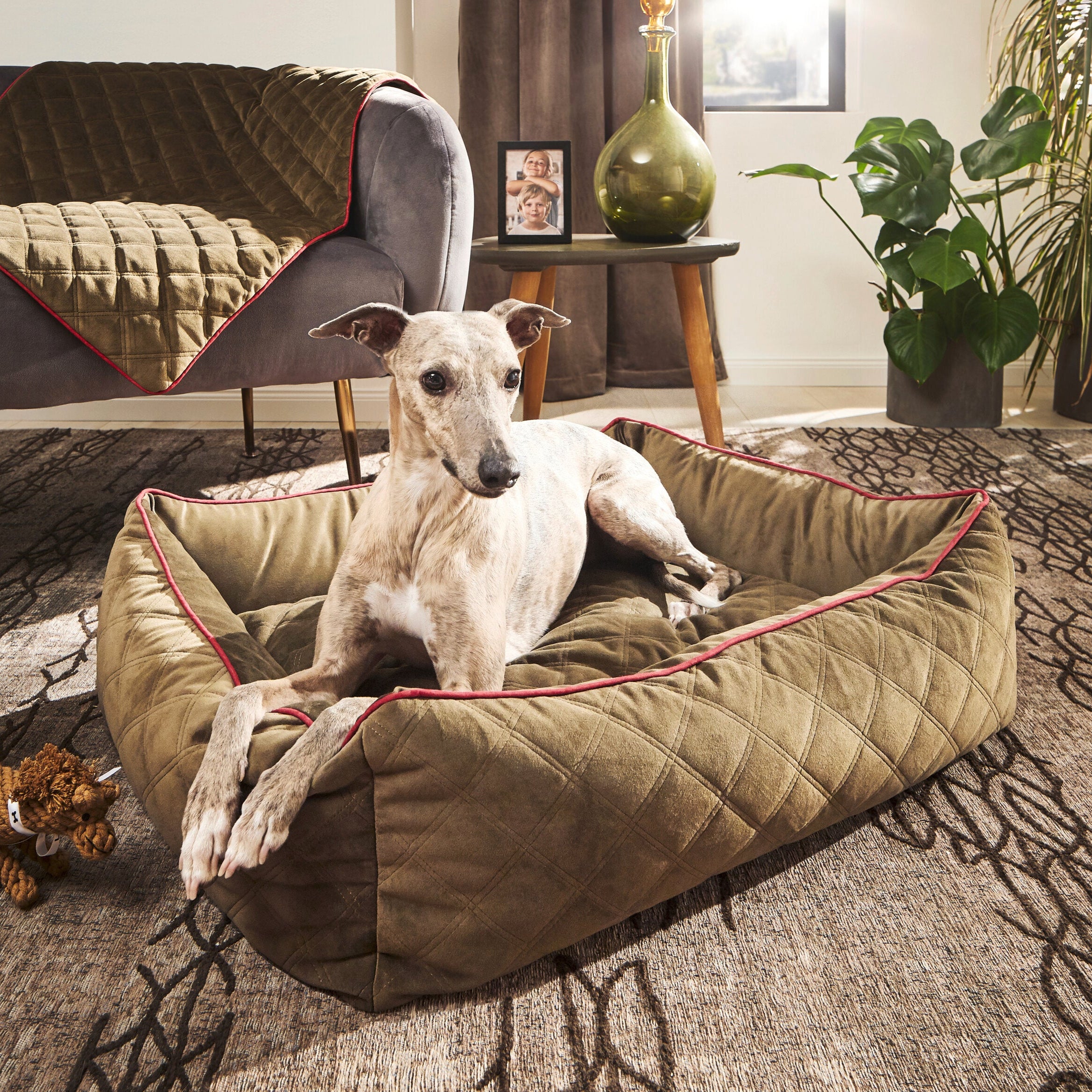 Laboni-Hundebett-Oxford-Olive-Hund