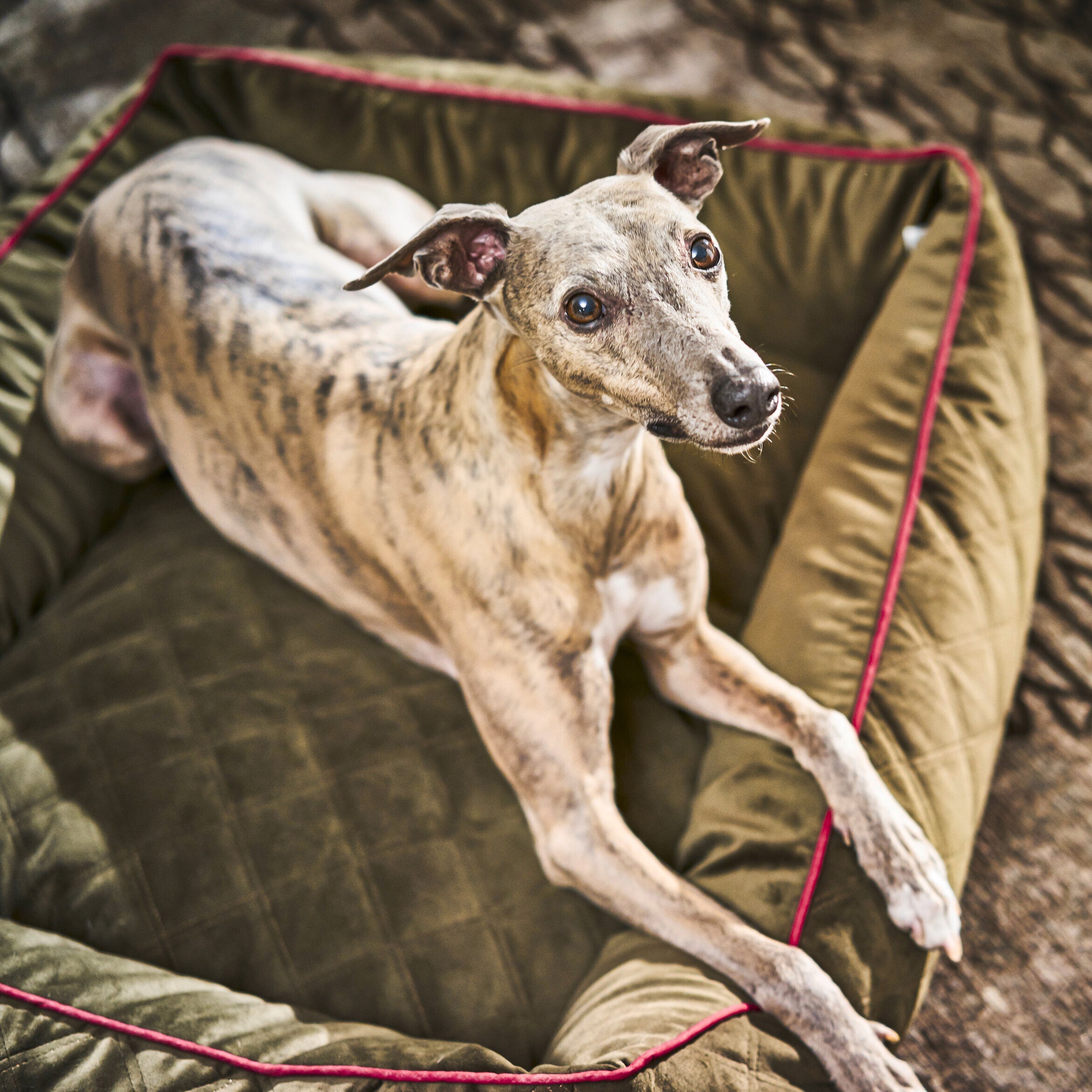 Laboni-Hundebett-Oxford-Olive-Detail