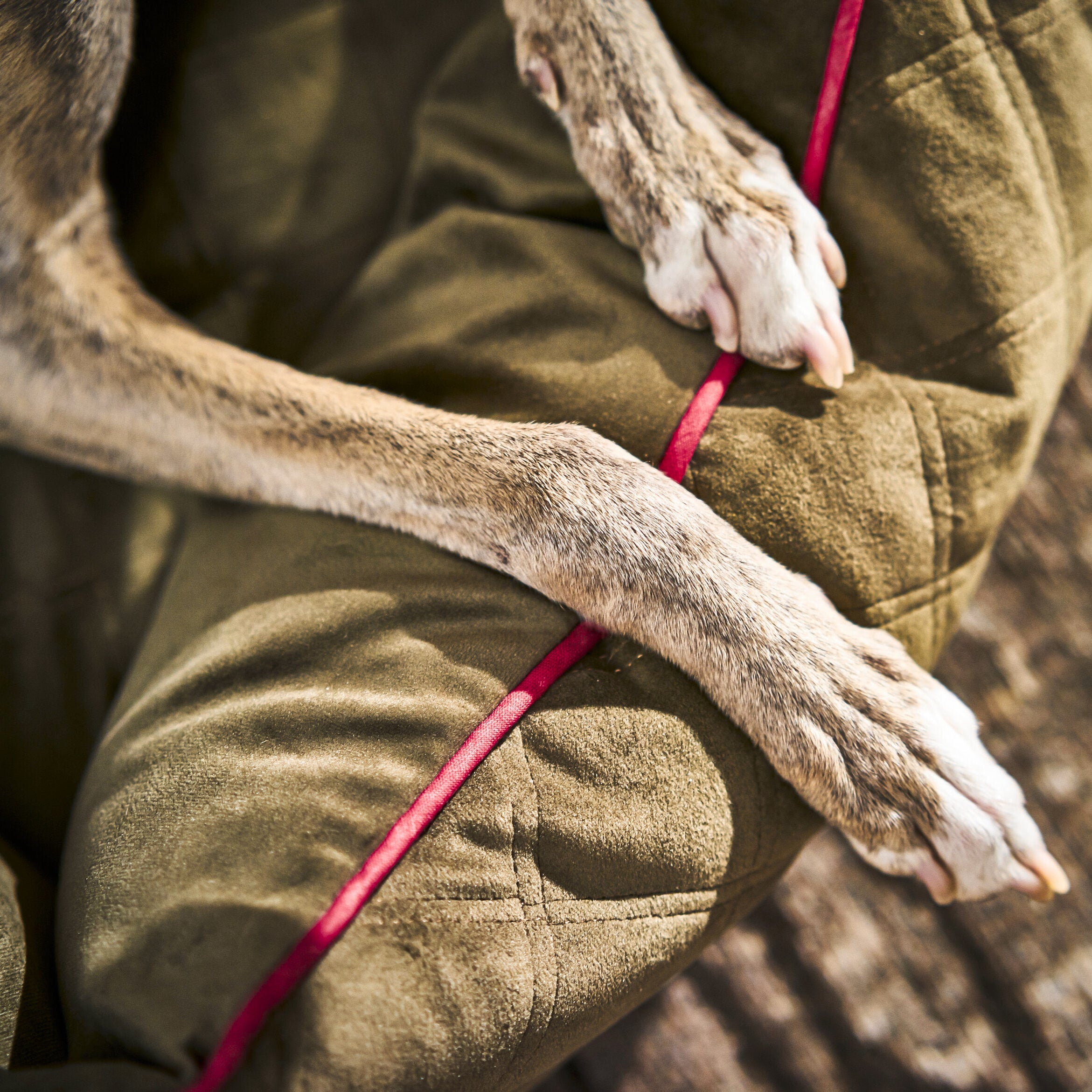 Laboni-Hundebett-Oxford-Olive-Stoff