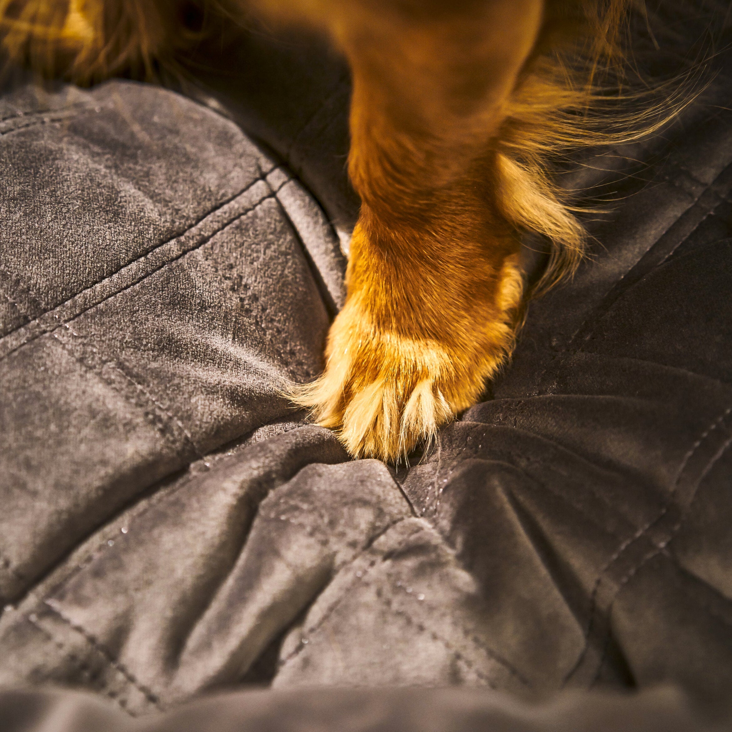 Laboni-Hundebett-Oxford-Stone-Detail