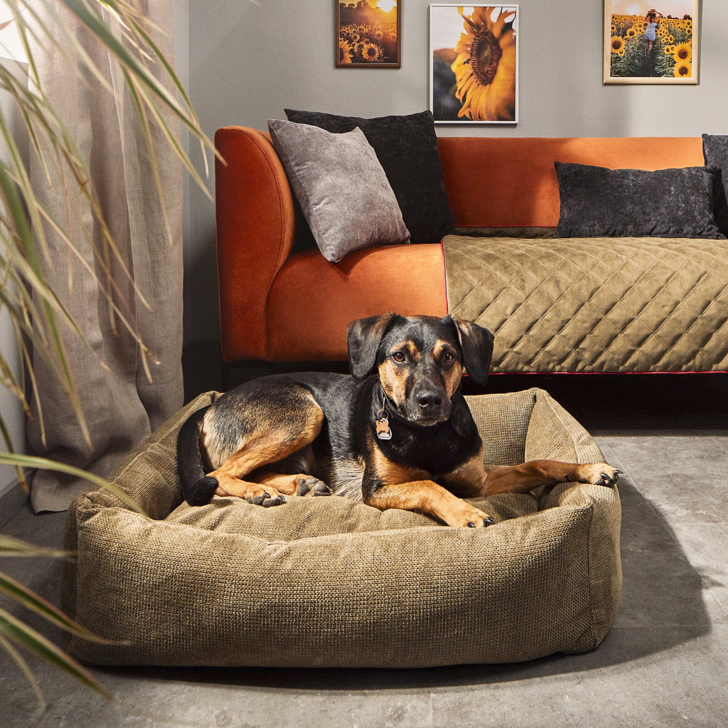 Laboni-Classic-Hundebett-Tudor-Olive-Hund