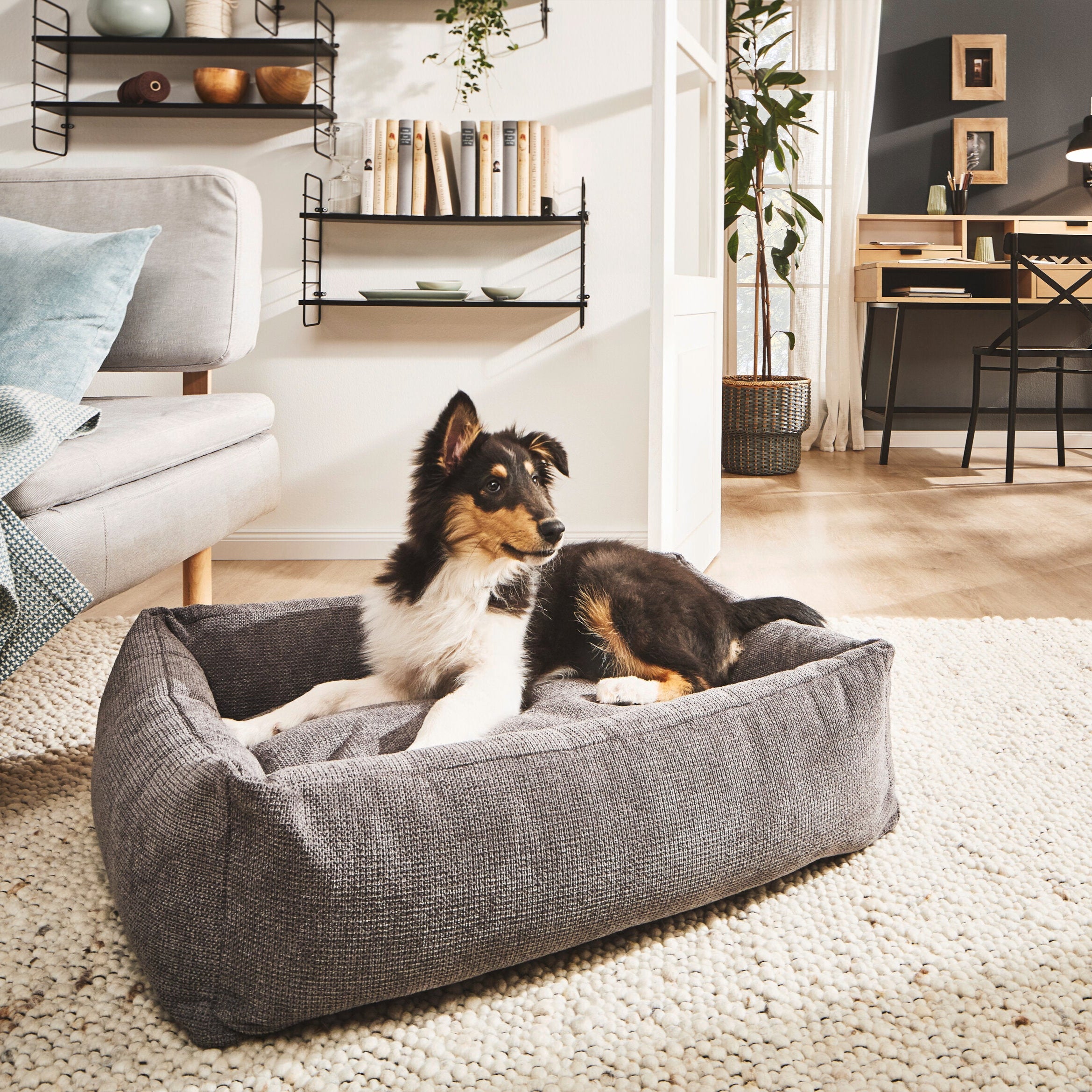 Laboni-Classic-Hundebett-Tudor-Anthrazit-Hund
