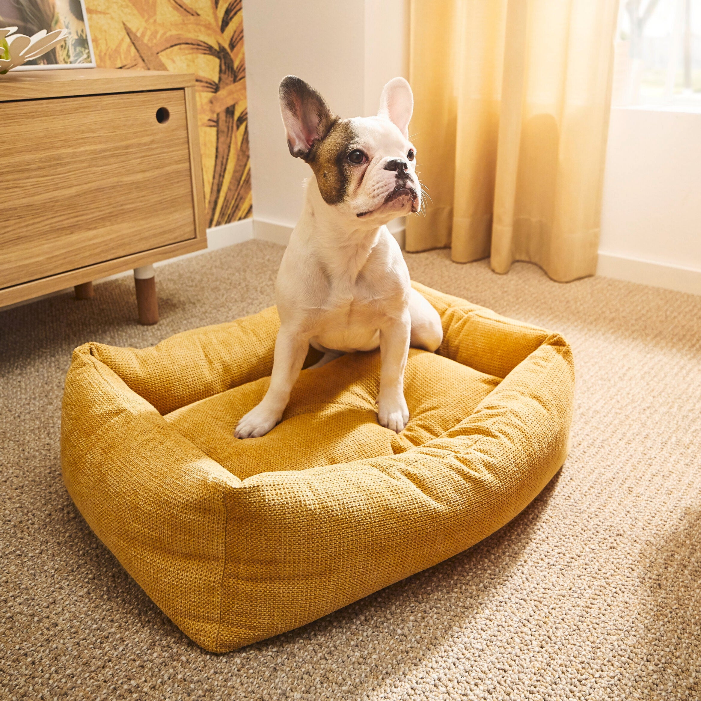 Laboni-Classic-Hundebett-Tudor-Gold-Hund