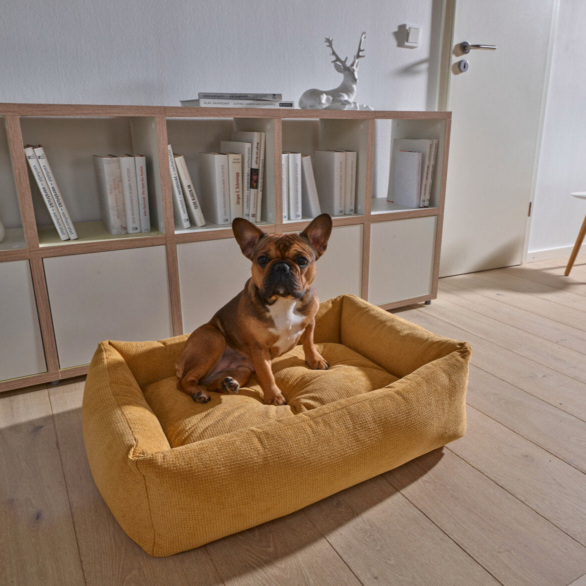 Laboni-Classic-Hundebett-Tudor-Gold-Hund2